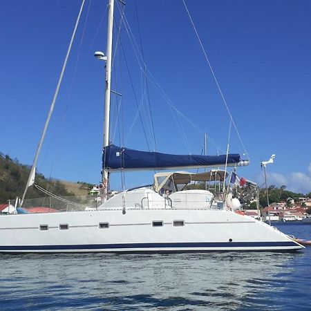 Catamaran Cypraea Hotell Terre-De-Haut Exteriör bild