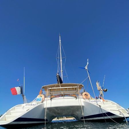 Catamaran Cypraea Hotell Terre-De-Haut Exteriör bild