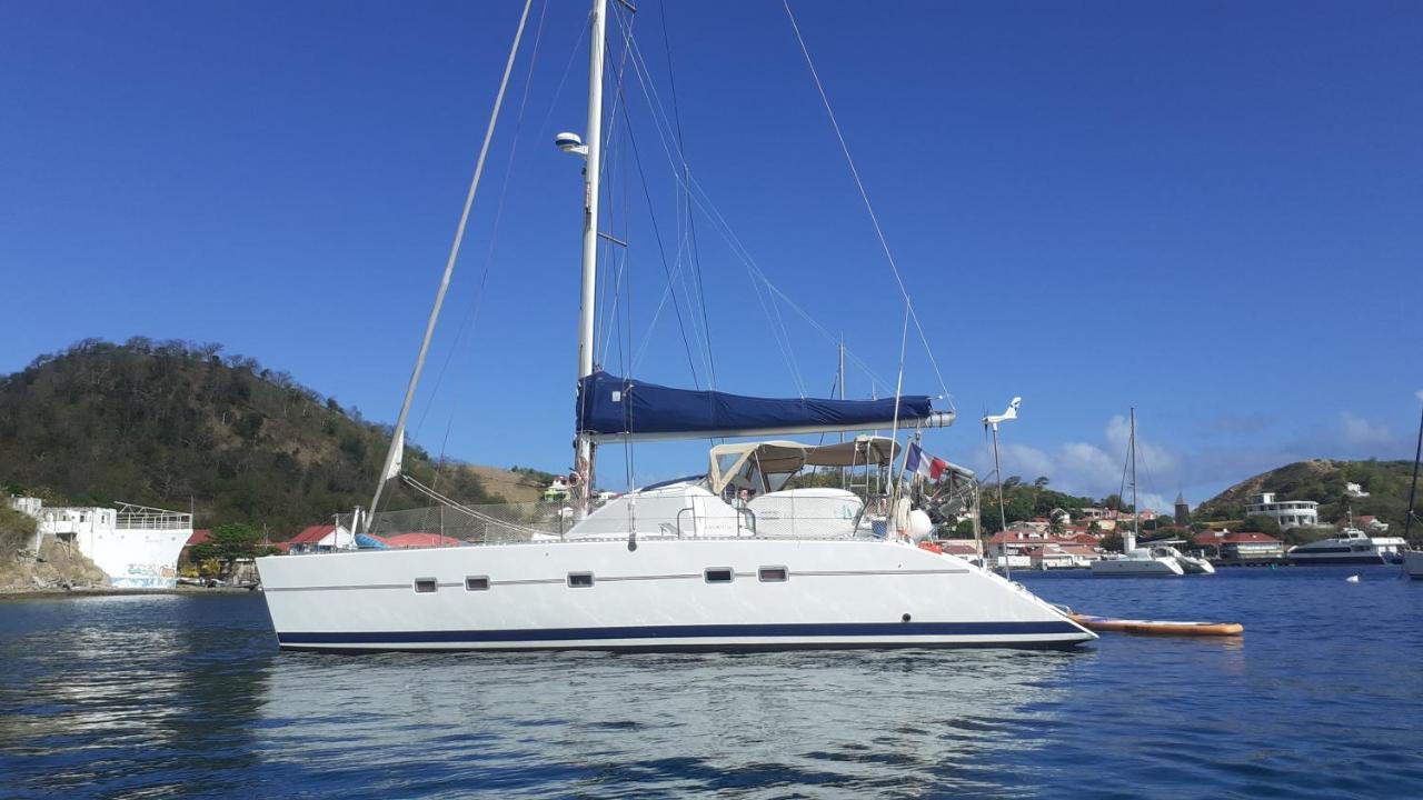 Catamaran Cypraea Hotell Terre-De-Haut Exteriör bild