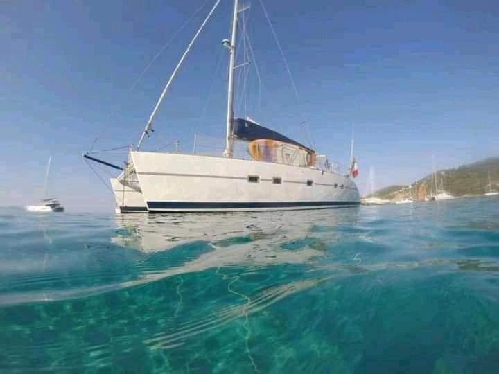Catamaran Cypraea Hotell Terre-De-Haut Exteriör bild