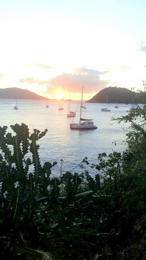 Catamaran Cypraea Hotell Terre-De-Haut Exteriör bild