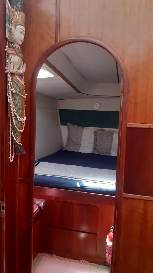 Catamaran Cypraea Hotell Terre-De-Haut Exteriör bild