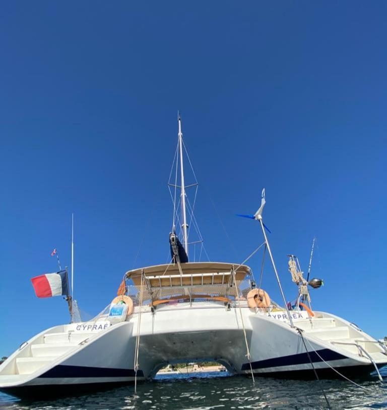 Catamaran Cypraea Hotell Terre-De-Haut Exteriör bild